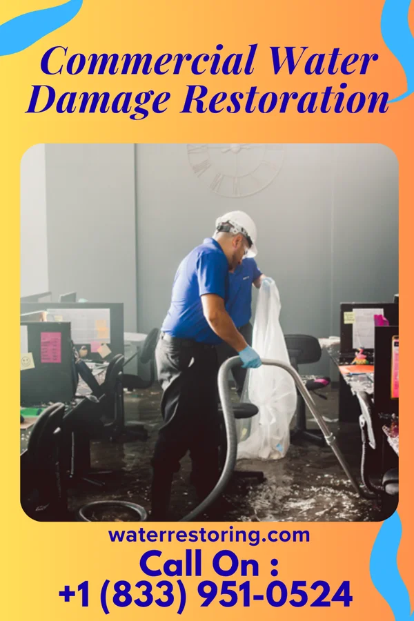 Commercial Water Damage Restoration in Gibraltar, MI