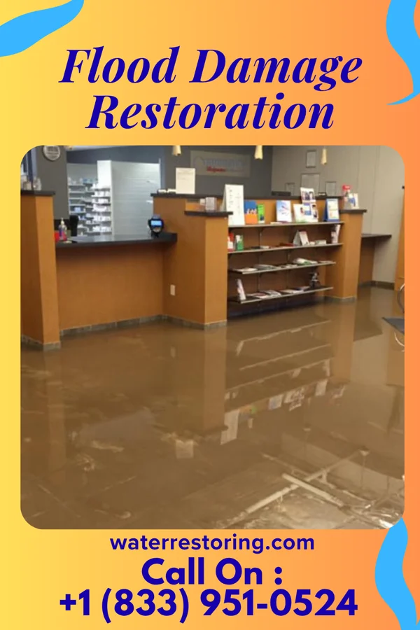 Flood Damage Restoration in Gibraltar, MI