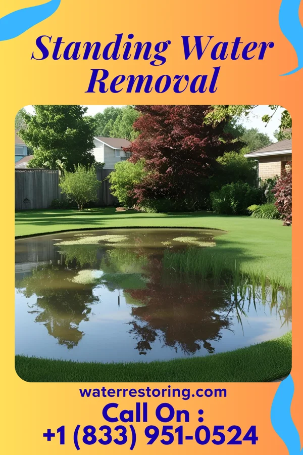 Standing Water Removal in Gibraltar, MI